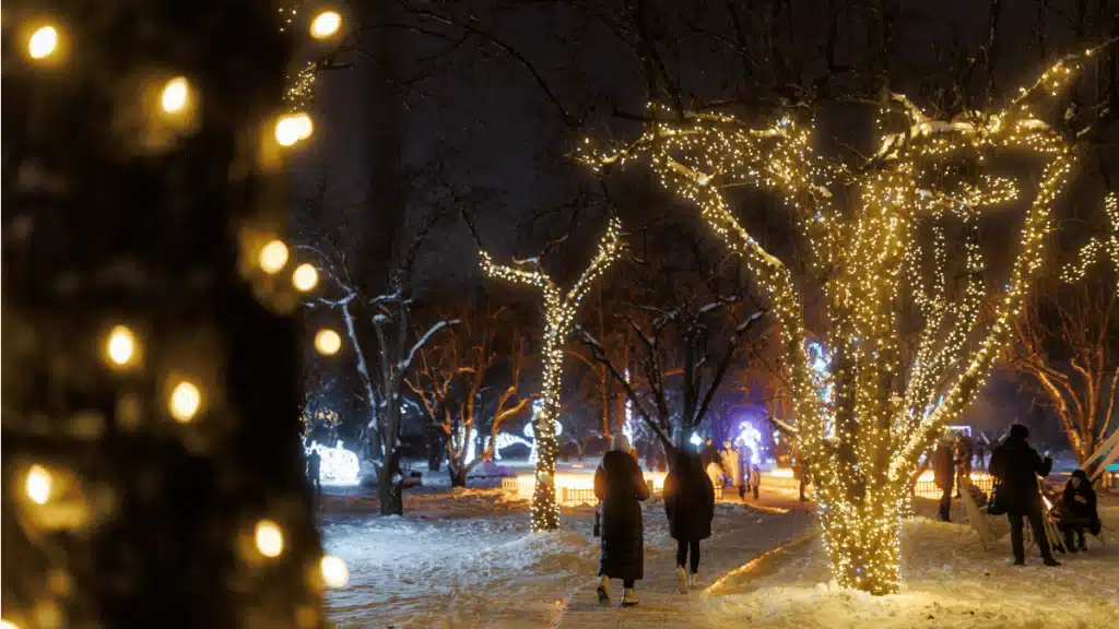 Ясногородка: «Зимова Казка» на екостраусовій фермі