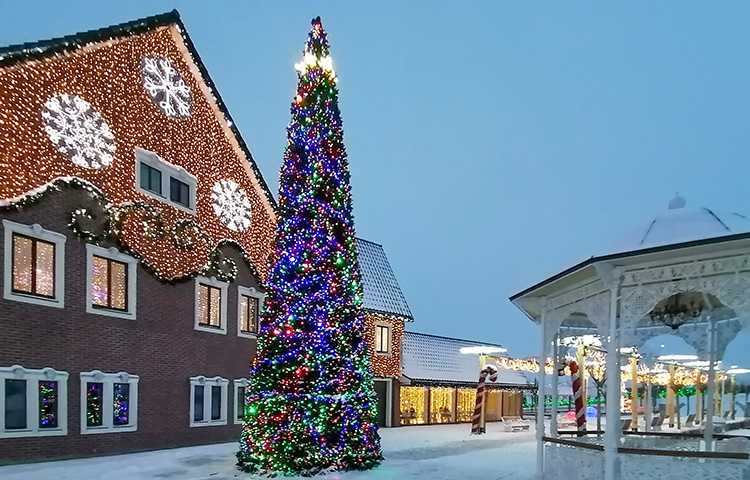 Добропарк: «Зима за містом – 2025» з резиденцією Доброчара