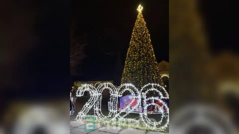 Ялинка Біла Церква