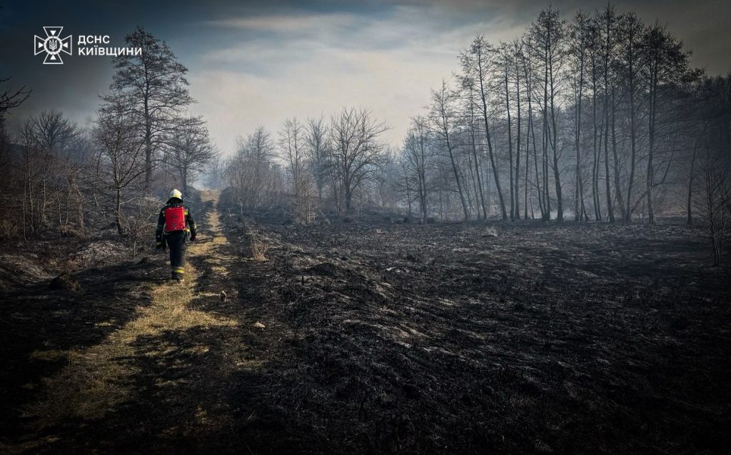 На Київщині через спалювання сухої трави загинув чоловік: за добу зафіксували 43 пожежі