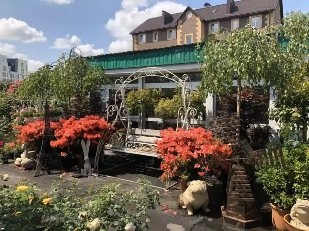 SAD.UA — с. Ходосівка (Новообухівська траса)