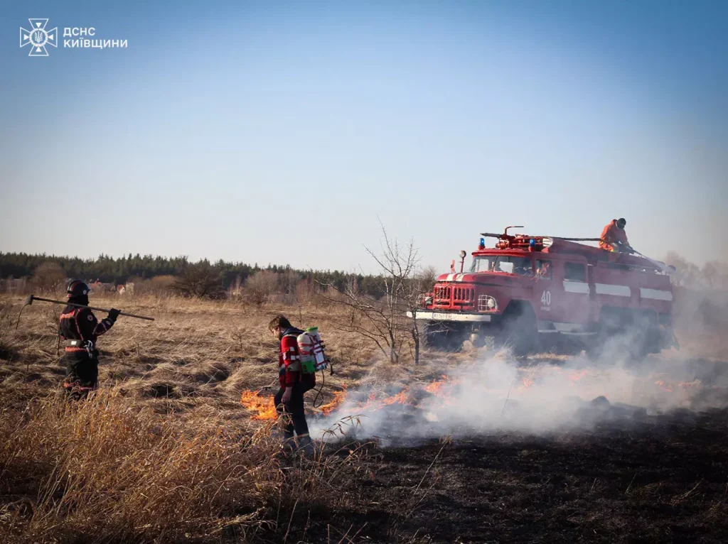 Спалювання сухотою