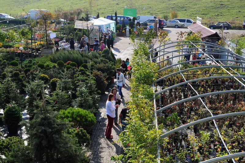 Садовий центр "Клуб Рослин" (с. Мила, Житомирська траса)