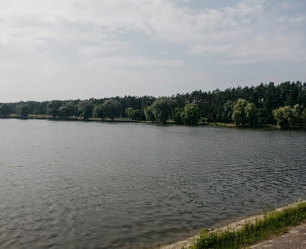 Озеро у селі Круглик, чиста водойма, пляж ,Київська область відпочинок біля води