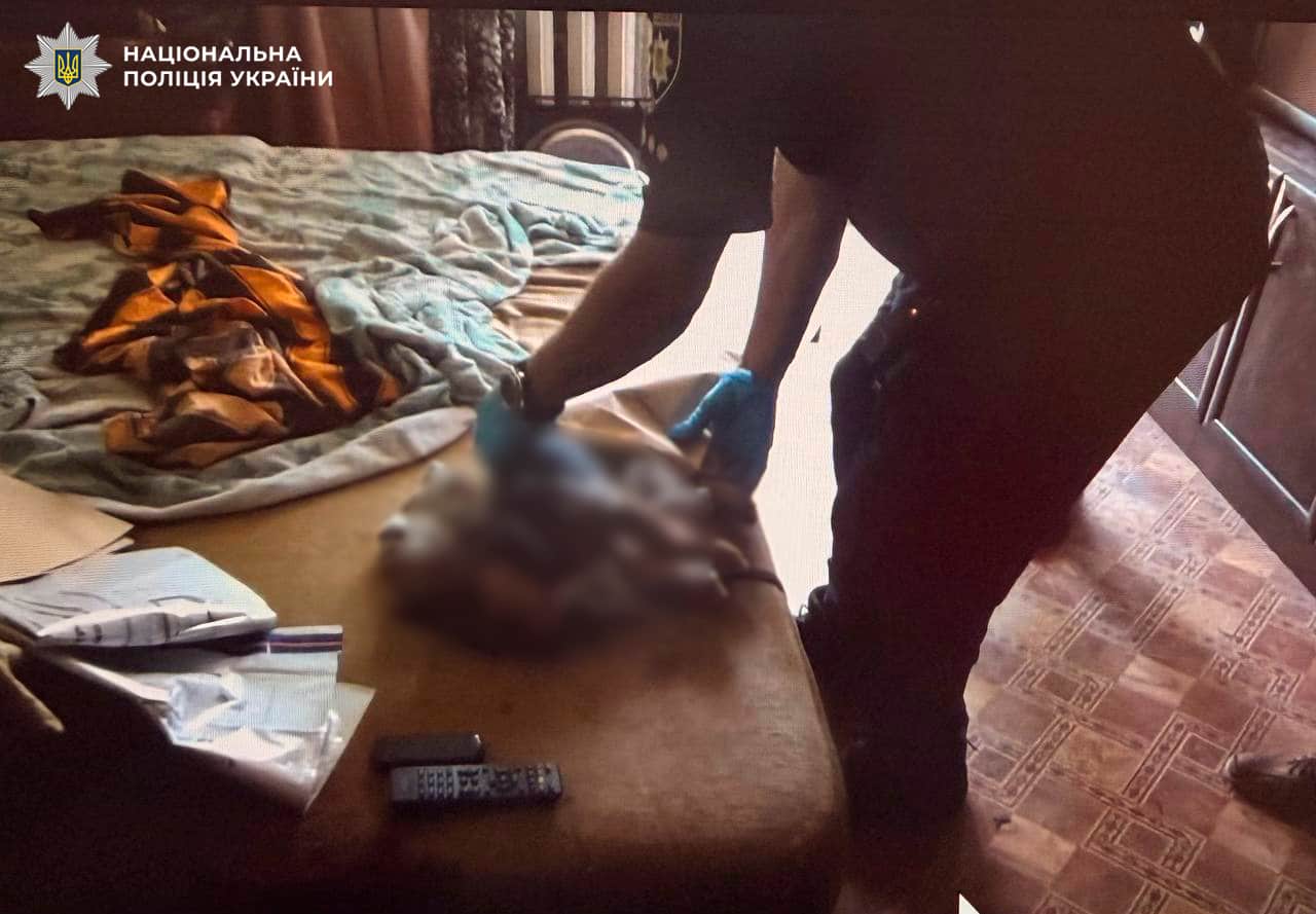 Київʼянка викинула пінчера Ельзу з балкона четвертого поверху під час застілля – собака загинула