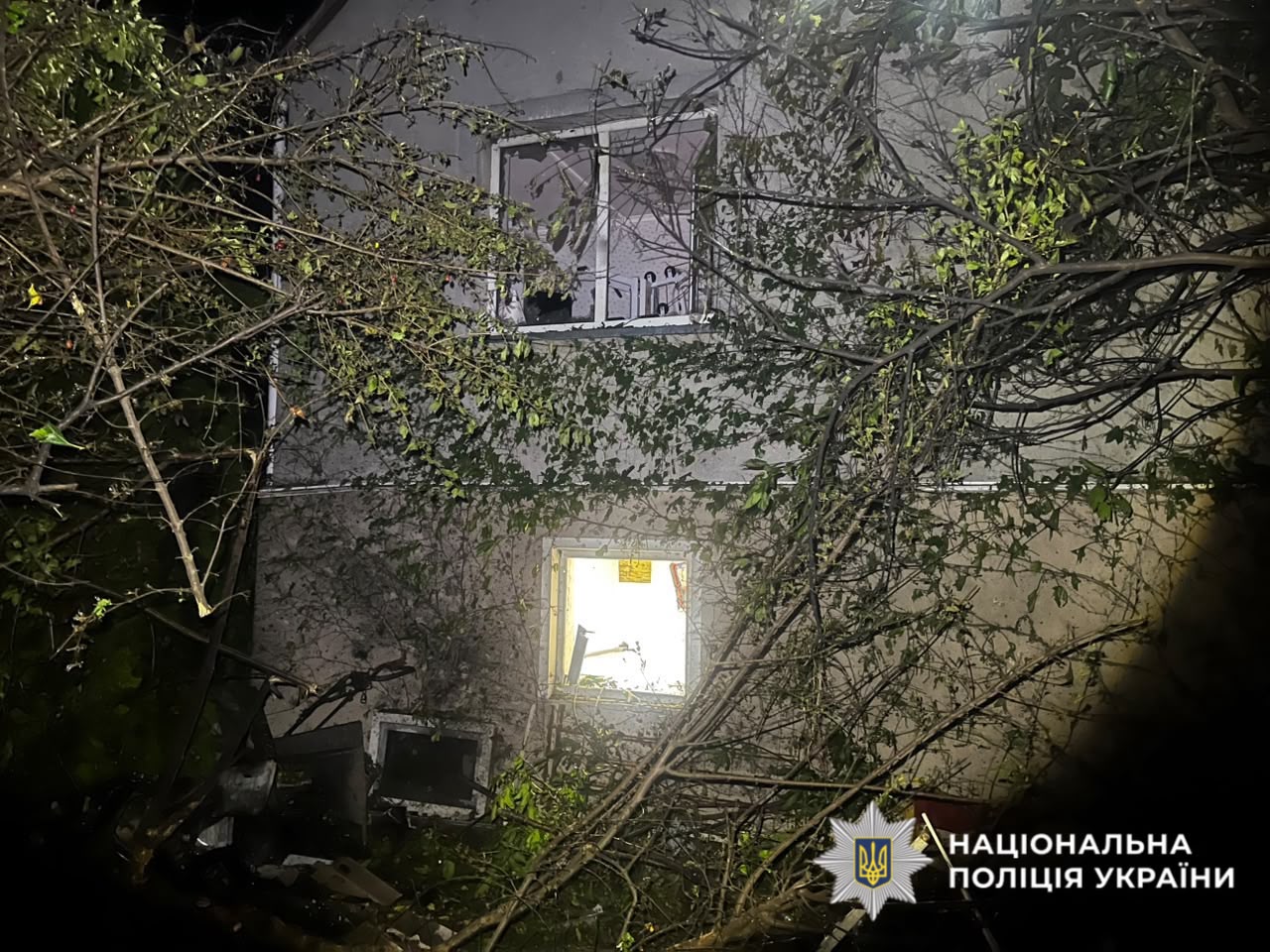 Підземна кімната з пробитою стіною та пробіленою дверею, обтягнута гілками рослин, після атаки безпілотниками