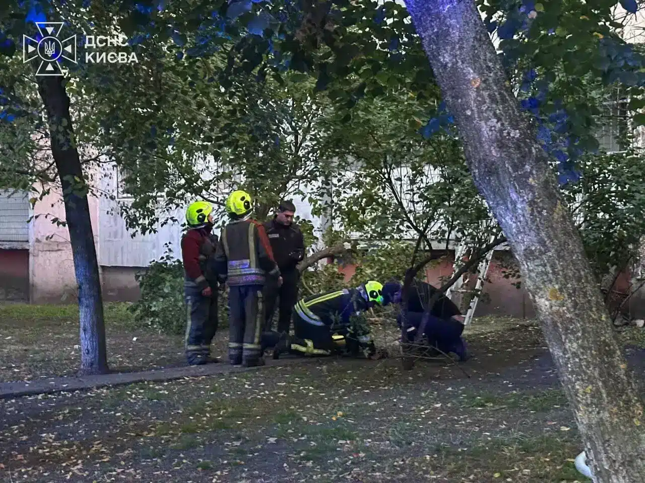 Рятувальники у касках біля дерева на території двору під час проведення операції з порятунку людей з будинку