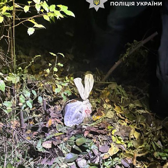 Кілограм наркотиків у коробках із дитячими пазлами: кияночку затримали перед відправкою “товару” поштою — фото 2